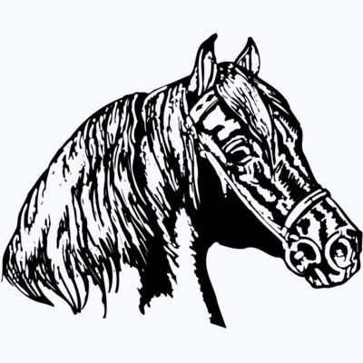 HORSE002 Thumbnail
