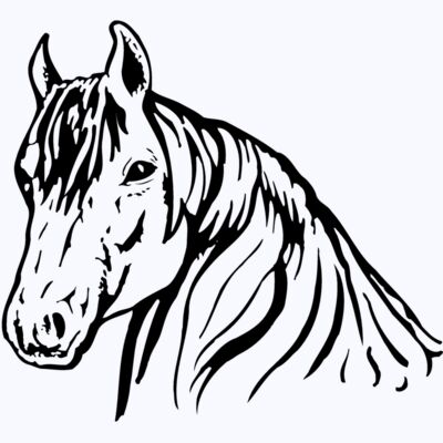 HORSE006 Thumbnail