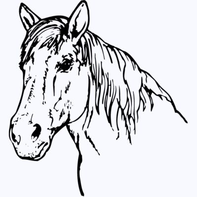HORSE009 Thumbnail