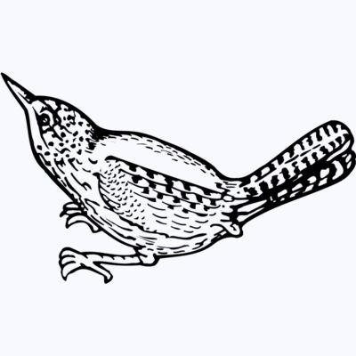 BIRD041 Thumbnail
