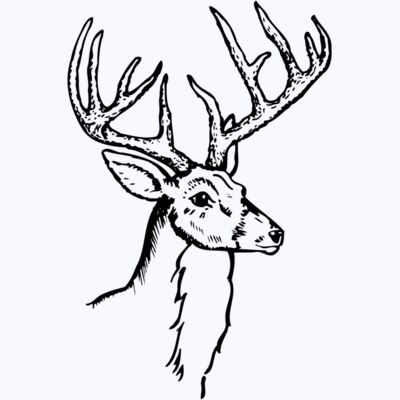 DEER017 Thumbnail