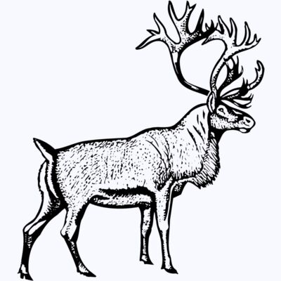 DEER030 Thumbnail