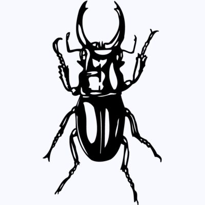EARWIG Thumbnail