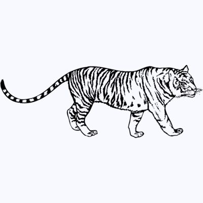 TIGER003 Thumbnail