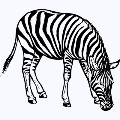 ZEBRA001 Thumbnail