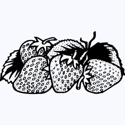 FRUIT038 Thumbnail
