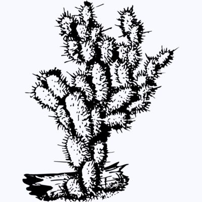 CACTUS09 Thumbnail