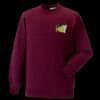 Kids raglan sleeve sweatshirt Thumbnail