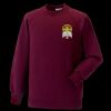 Kids raglan sleeve sweatshirt Thumbnail