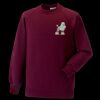 Kids raglan sleeve sweatshirt Thumbnail