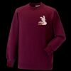 Kids raglan sleeve sweatshirt Thumbnail