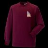 Kids raglan sleeve sweatshirt Thumbnail
