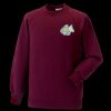 Kids raglan sleeve sweatshirt Thumbnail