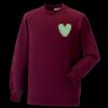Kids raglan sleeve sweatshirt Thumbnail