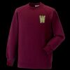 Kids raglan sleeve sweatshirt Thumbnail