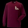 Kids raglan sleeve sweatshirt Thumbnail