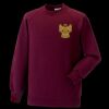 Kids raglan sleeve sweatshirt Thumbnail