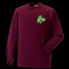 Kids raglan sleeve sweatshirt Thumbnail