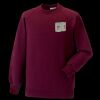 Kids raglan sleeve sweatshirt Thumbnail