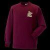 Kids raglan sleeve sweatshirt Thumbnail