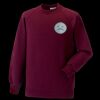 Kids raglan sleeve sweatshirt Thumbnail