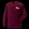 Kids raglan sleeve sweatshirt Thumbnail