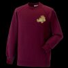 Kids raglan sleeve sweatshirt Thumbnail