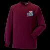 Kids raglan sleeve sweatshirt Thumbnail