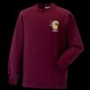 Kids raglan sleeve sweatshirt Thumbnail