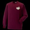 Kids raglan sleeve sweatshirt Thumbnail