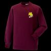 Kids raglan sleeve sweatshirt Thumbnail