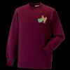Kids raglan sleeve sweatshirt Thumbnail