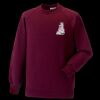 Kids raglan sleeve sweatshirt Thumbnail