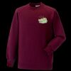 Kids raglan sleeve sweatshirt Thumbnail