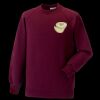 Kids raglan sleeve sweatshirt Thumbnail
