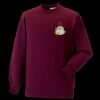 Kids raglan sleeve sweatshirt Thumbnail