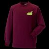 Kids raglan sleeve sweatshirt Thumbnail