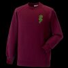 Kids raglan sleeve sweatshirt Thumbnail