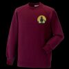 Kids raglan sleeve sweatshirt Thumbnail