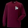 Kids raglan sleeve sweatshirt Thumbnail