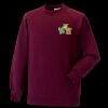 Kids raglan sleeve sweatshirt Thumbnail