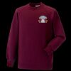 Kids raglan sleeve sweatshirt Thumbnail