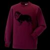 Kids raglan sleeve sweatshirt Thumbnail