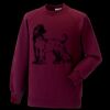 Kids raglan sleeve sweatshirt Thumbnail