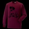 Kids raglan sleeve sweatshirt Thumbnail
