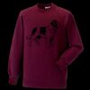 Kids raglan sleeve sweatshirt Thumbnail