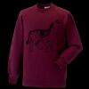Kids raglan sleeve sweatshirt Thumbnail