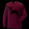 Kids raglan sleeve sweatshirt Thumbnail