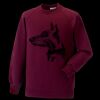 Kids raglan sleeve sweatshirt Thumbnail