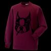 Kids raglan sleeve sweatshirt Thumbnail